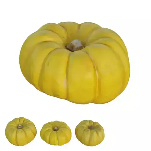 mini pumpkin