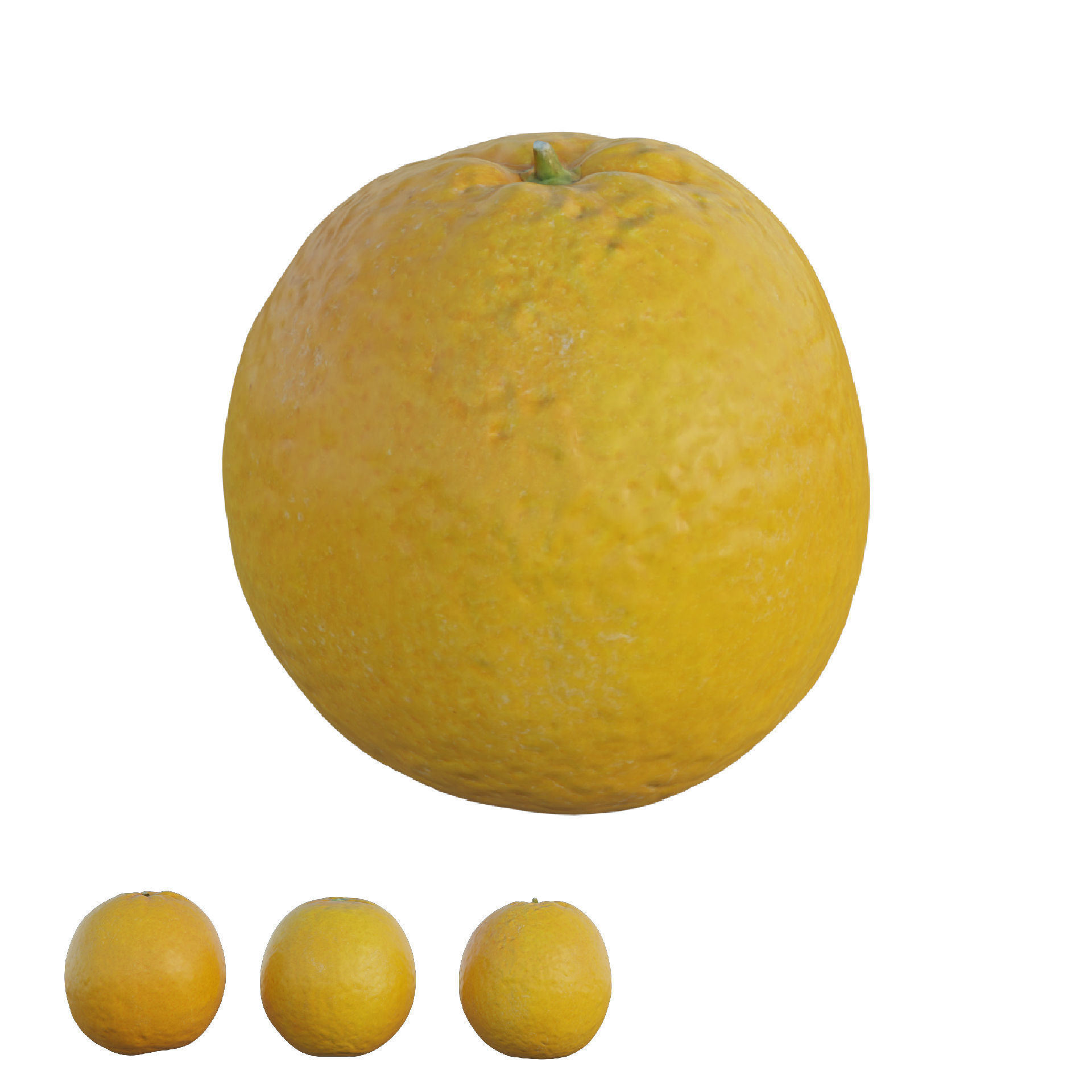 oranges orange 3D model_2