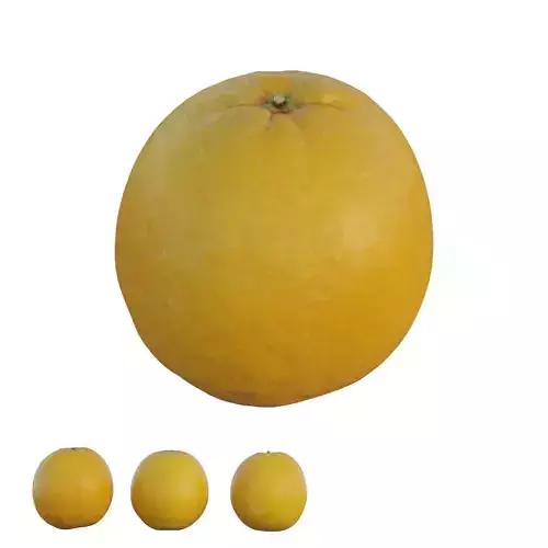 oranges orange 3D model