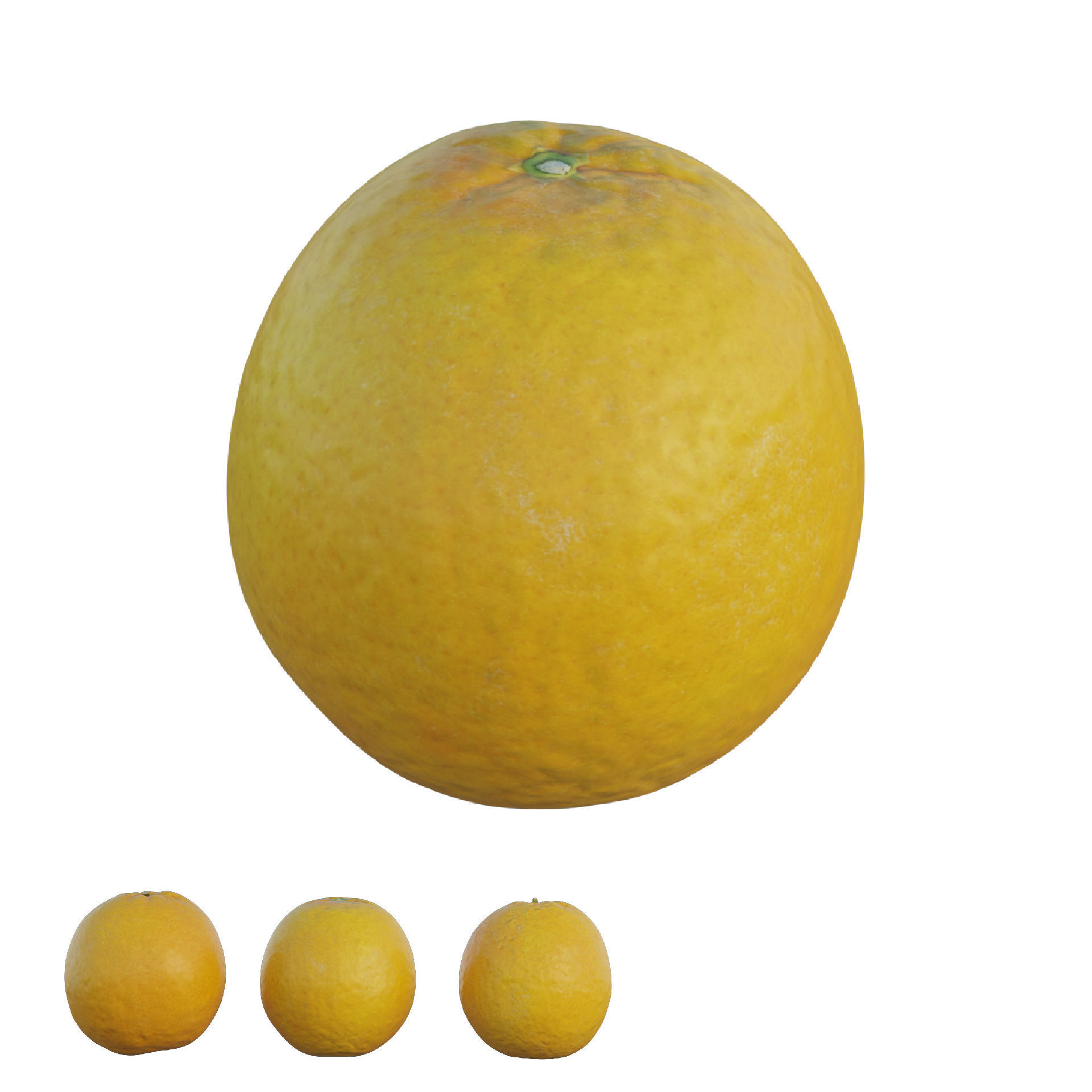 oranges orange 3D model_1