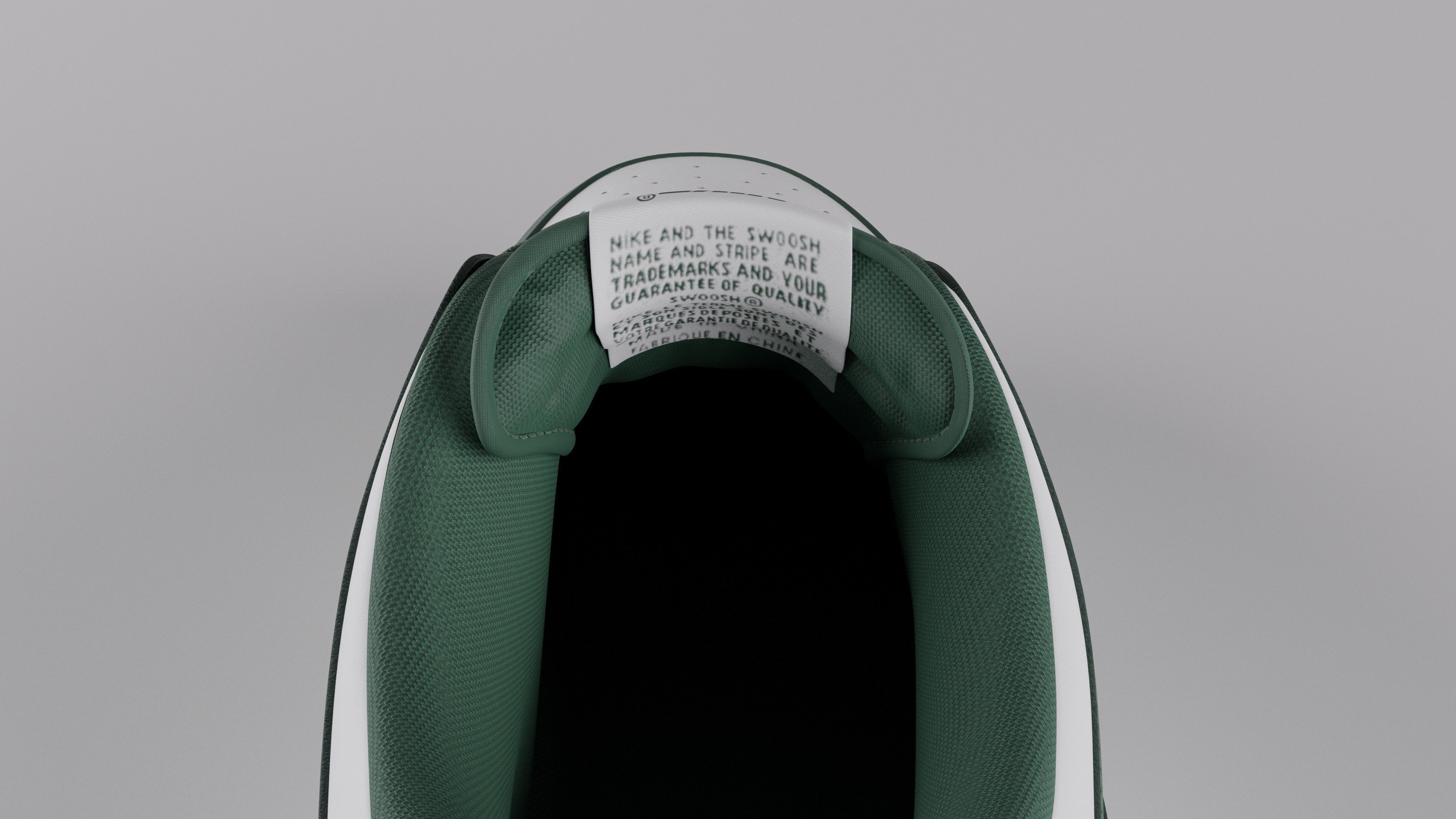 Nike Dunk Low Michigan State  Low-poly 3D model_19