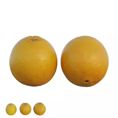 oranges 02 3D model 6