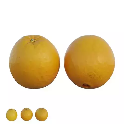 oranges 02 3D model 5