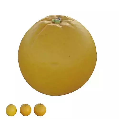 oranges 02 3D model 3