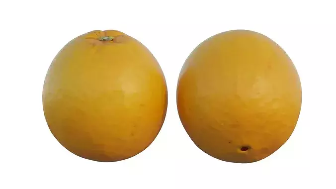 oranges 02 3D model 7