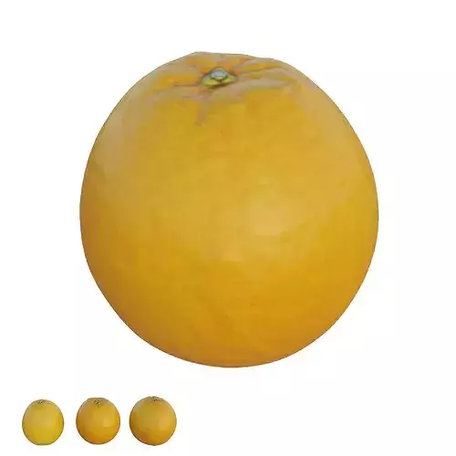 oranges 02 3D model 2