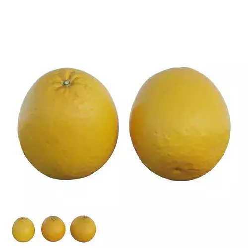 oranges 02 3D model 4