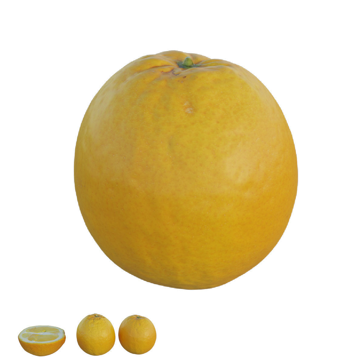 oranges 03 3D model_2