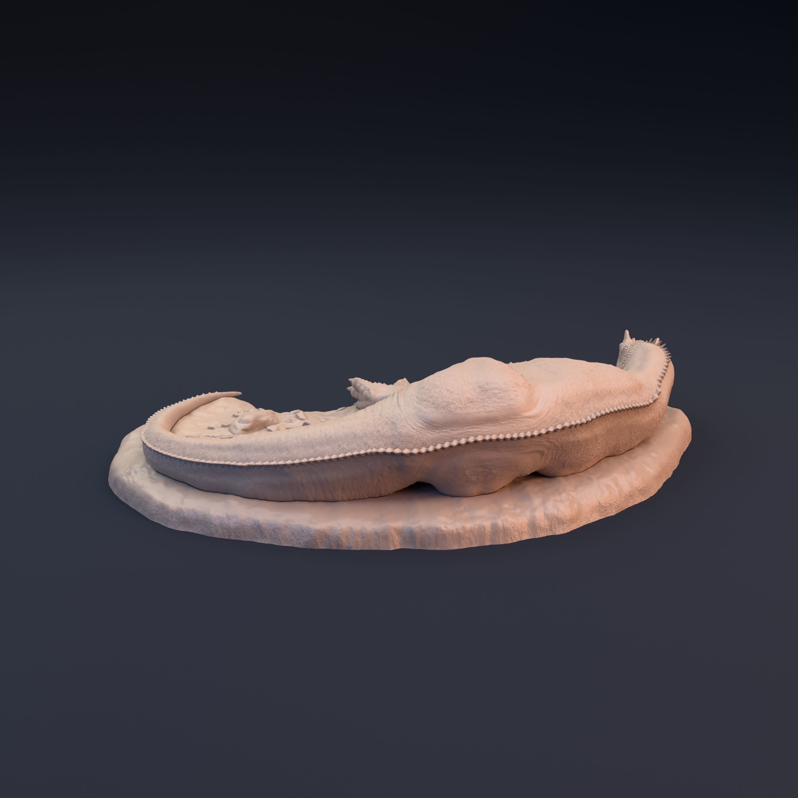 Ceratosaurus sleeping 3D print model_6