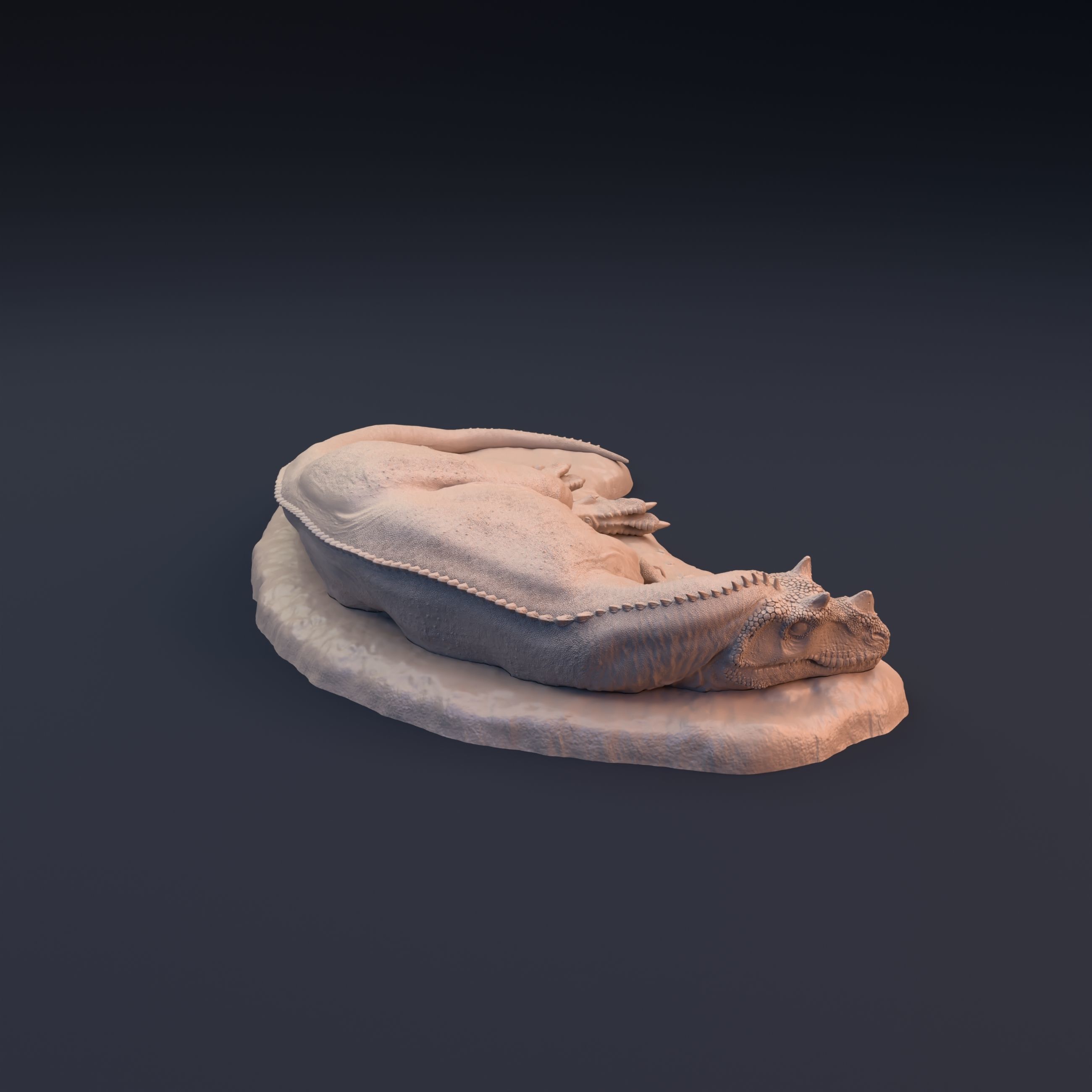 Ceratosaurus sleeping 3D print model_7
