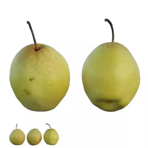 Pear 03