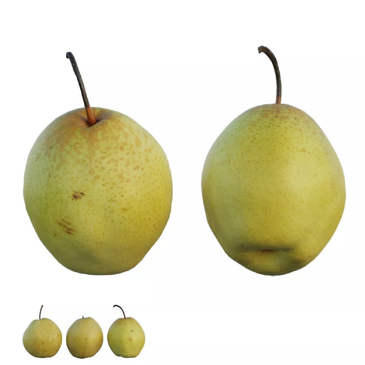 Pear Cgi Pear 03 3D model | CGTrader