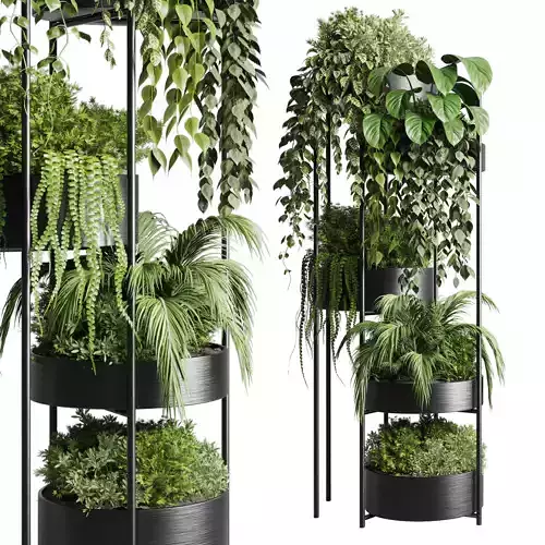 circle stand plant collection Indoor plant metal vase