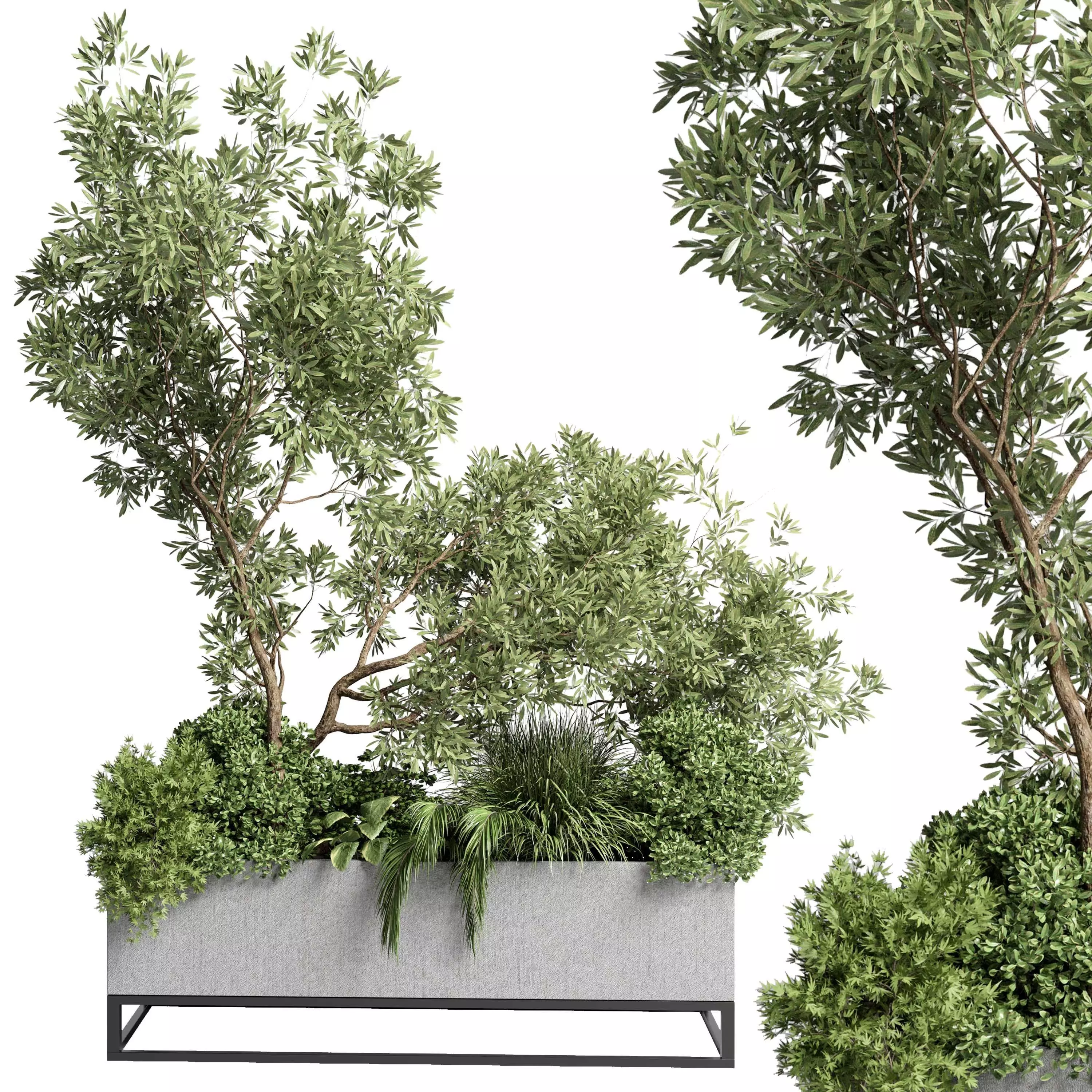 Collection indoor plant 234 - Concrete plants box standing 3D model