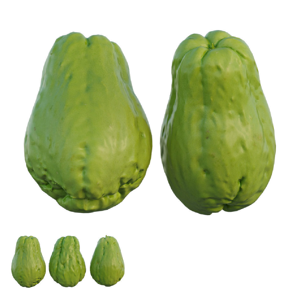 Chayote cucumber 3D model_2