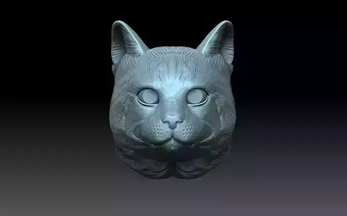 Cat head