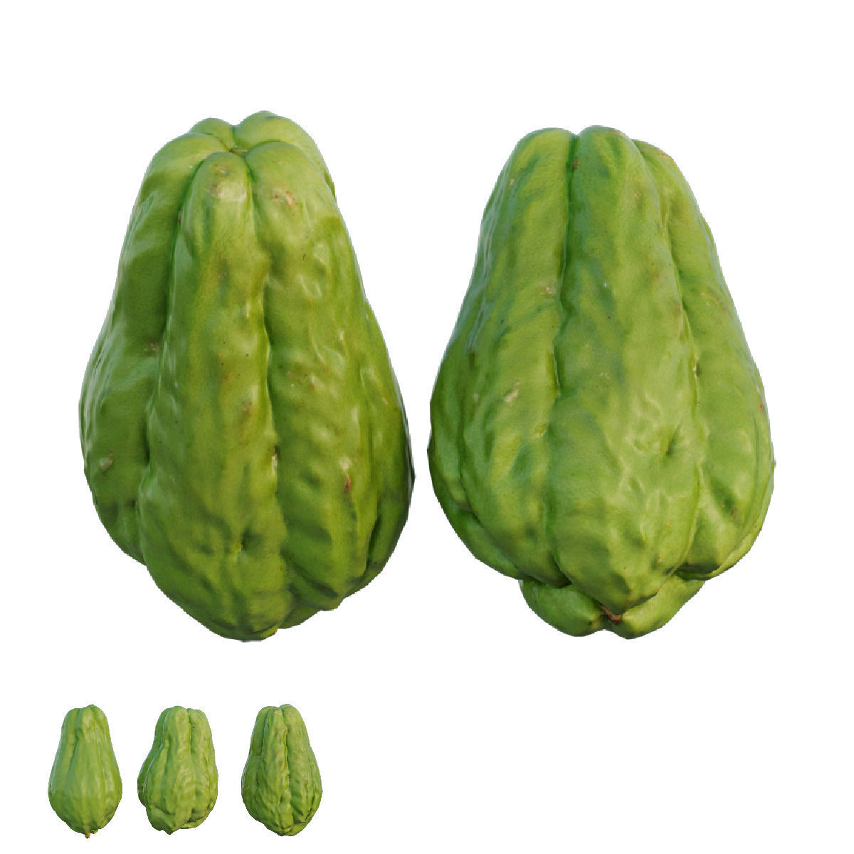 Chayote 04 3D model_6