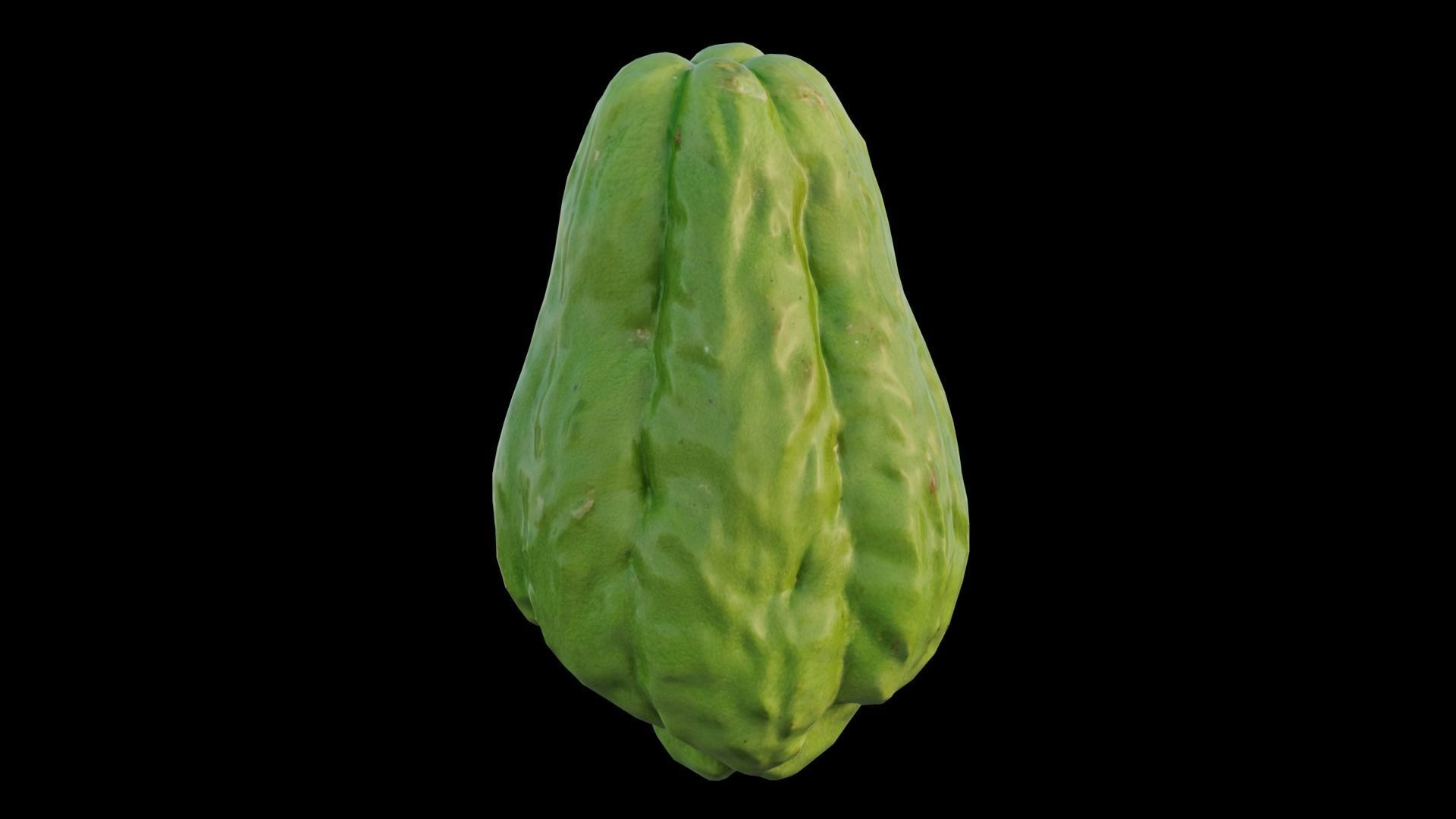 Chayote 04 3D model_12
