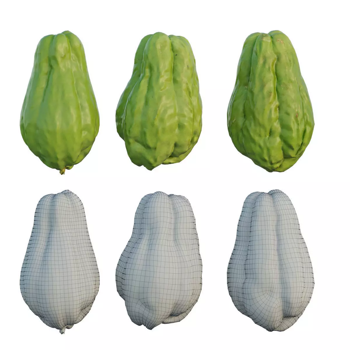 Chayote 04 3D model_0