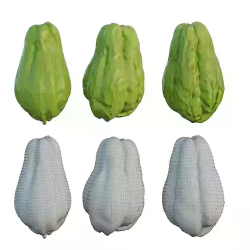 Chayote 04
