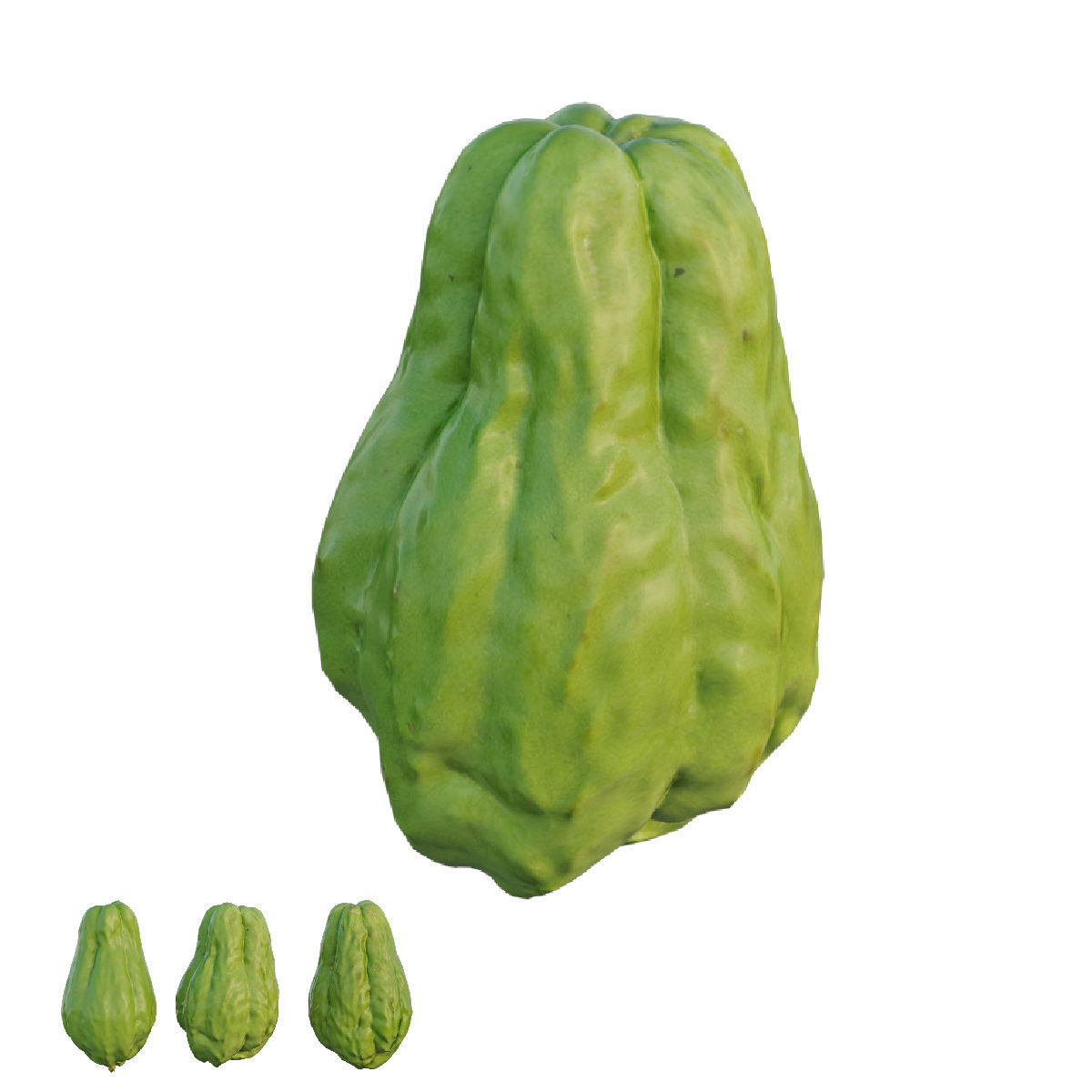 Chayote 04 3D model_1