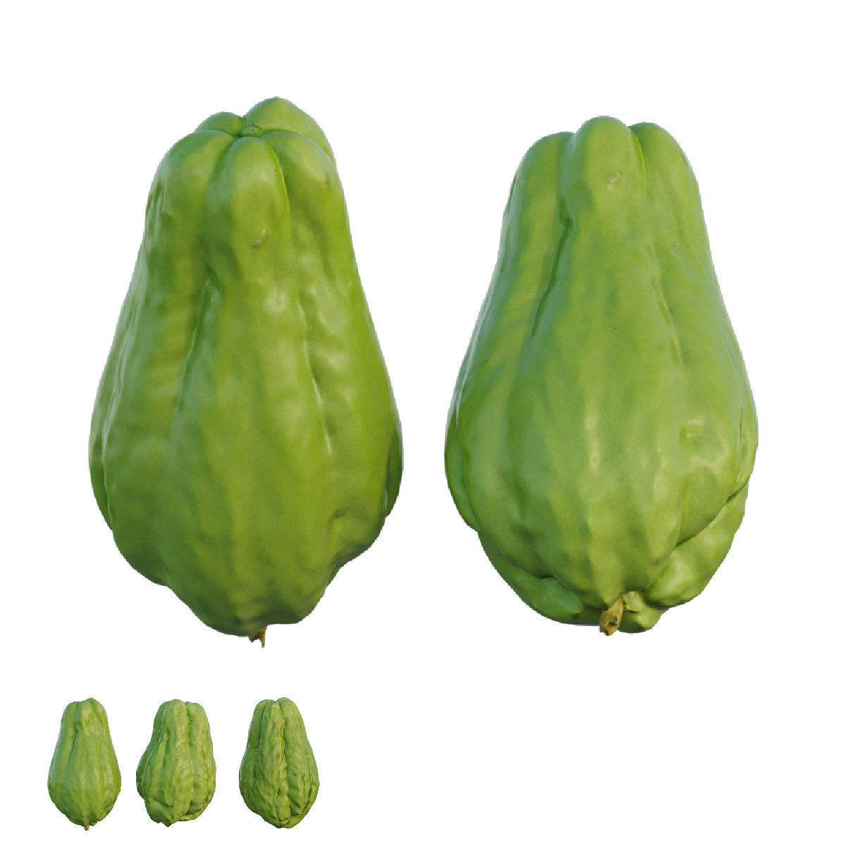 Chayote 04 3D model_5