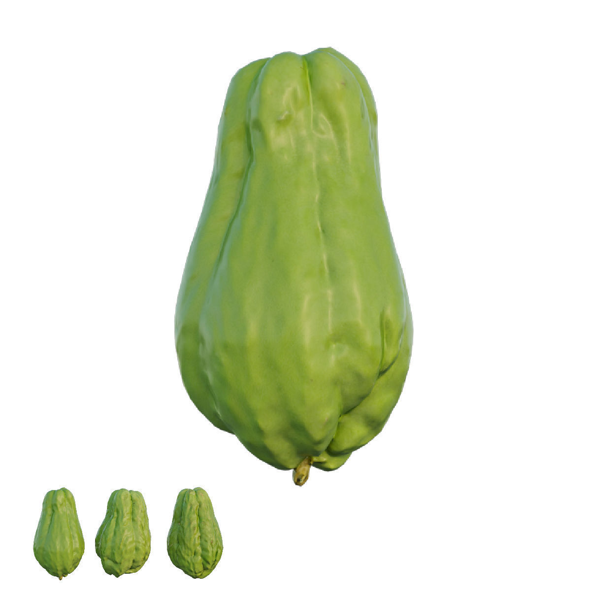 Chayote 04 3D model_2