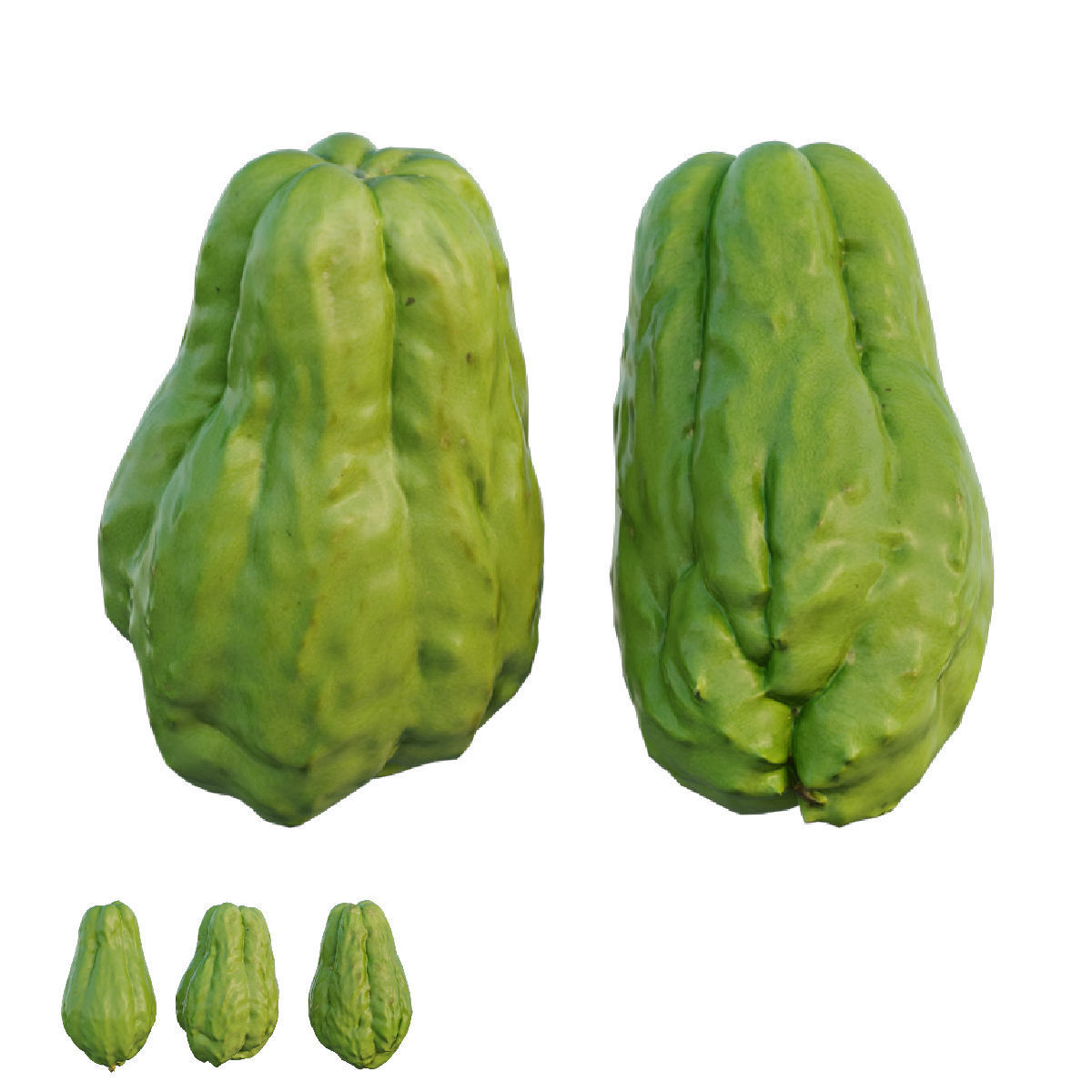 Chayote 04 3D model_4