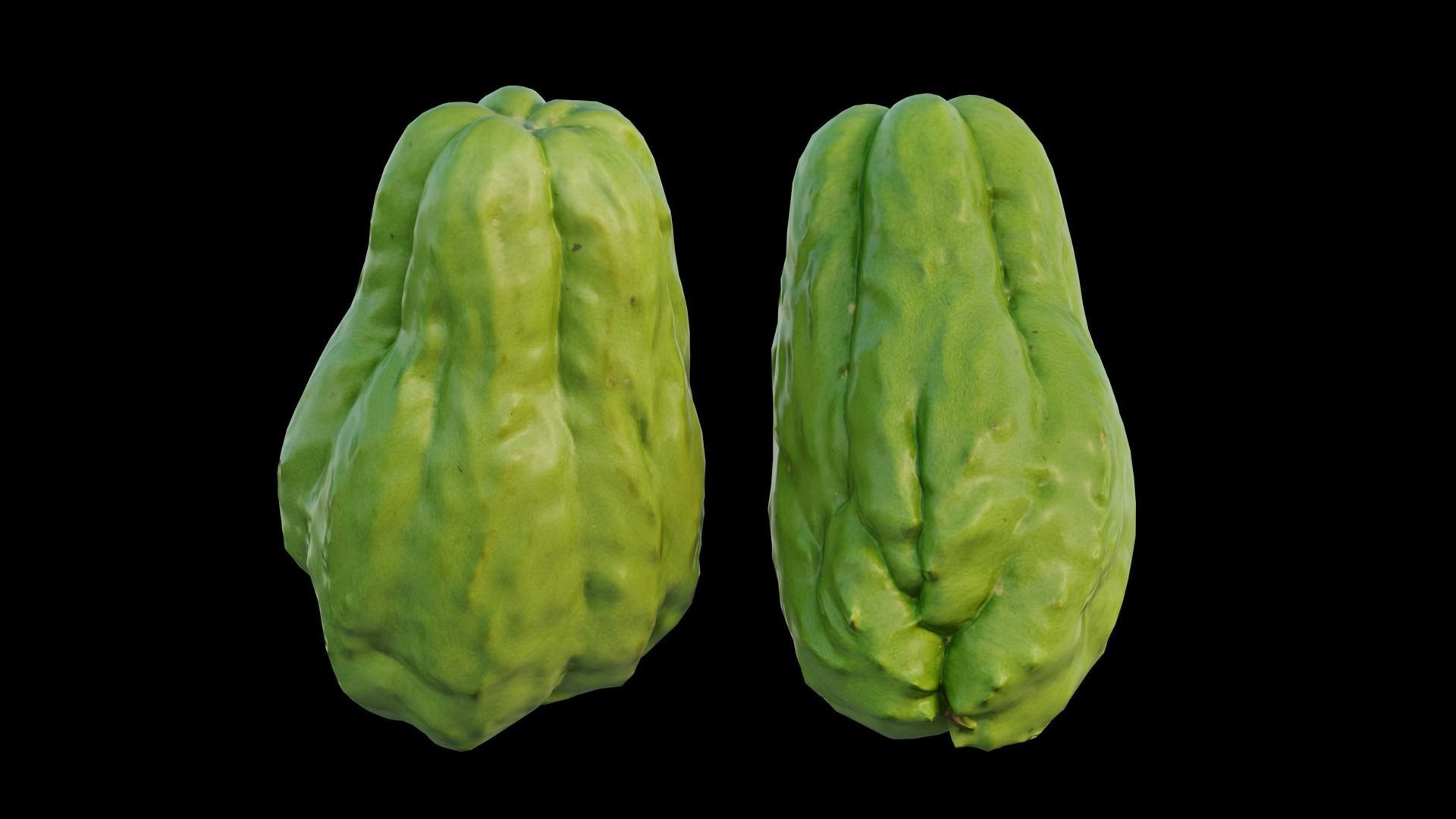 Chayote 04 3D model_14