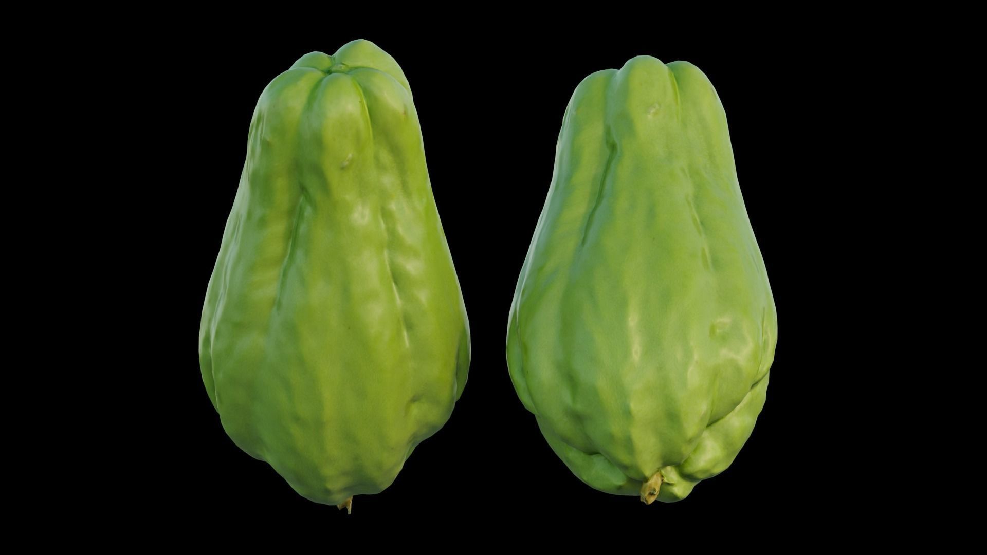 Chayote 04 3D model_13