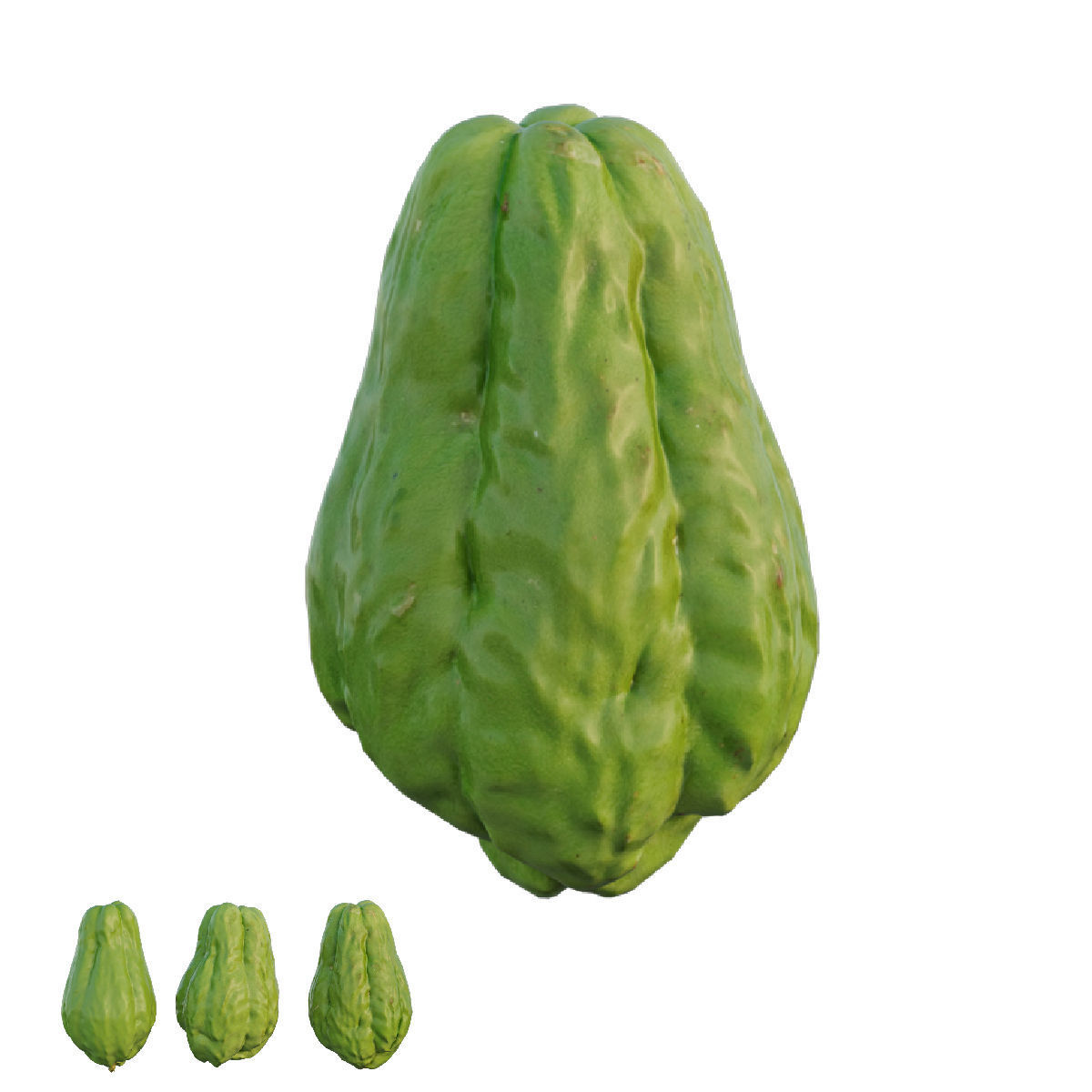 Chayote 04 3D model_3
