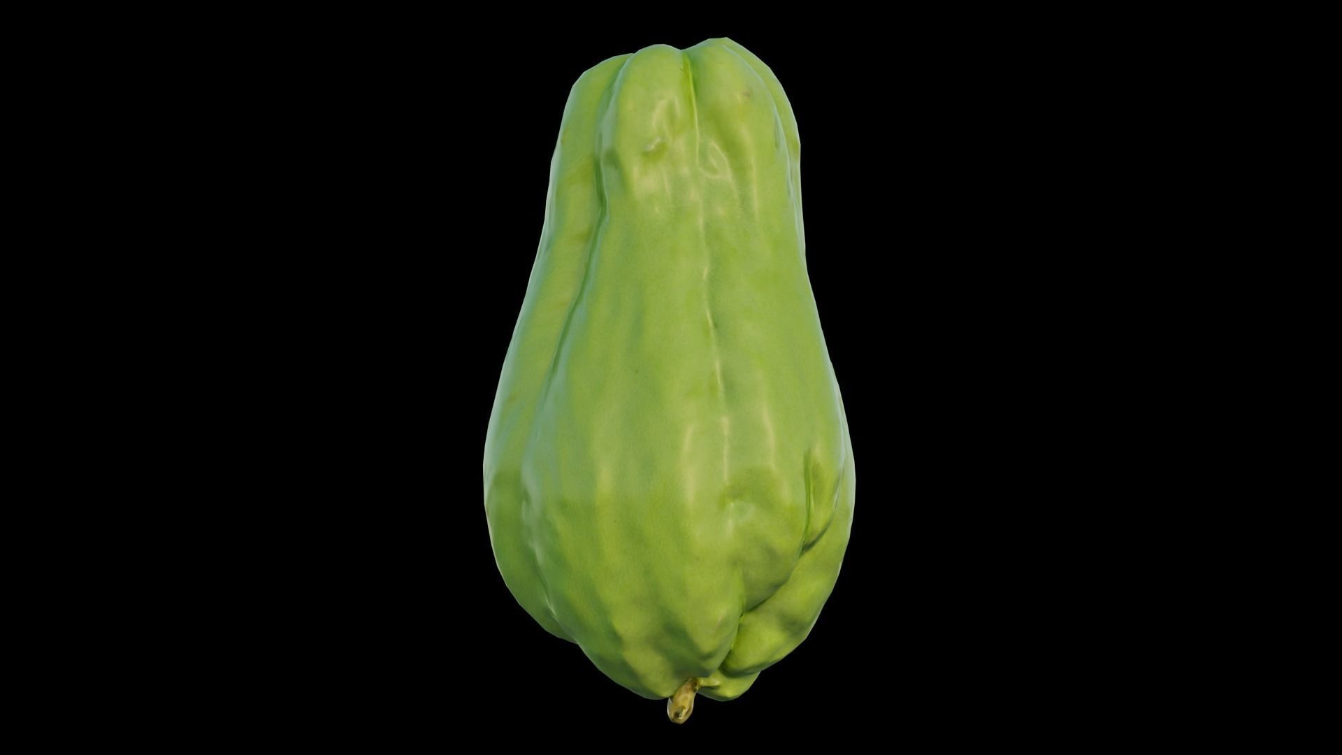 Chayote 04 3D model_11