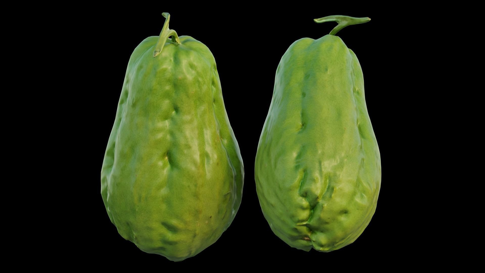 Chayote 05 3D model_7