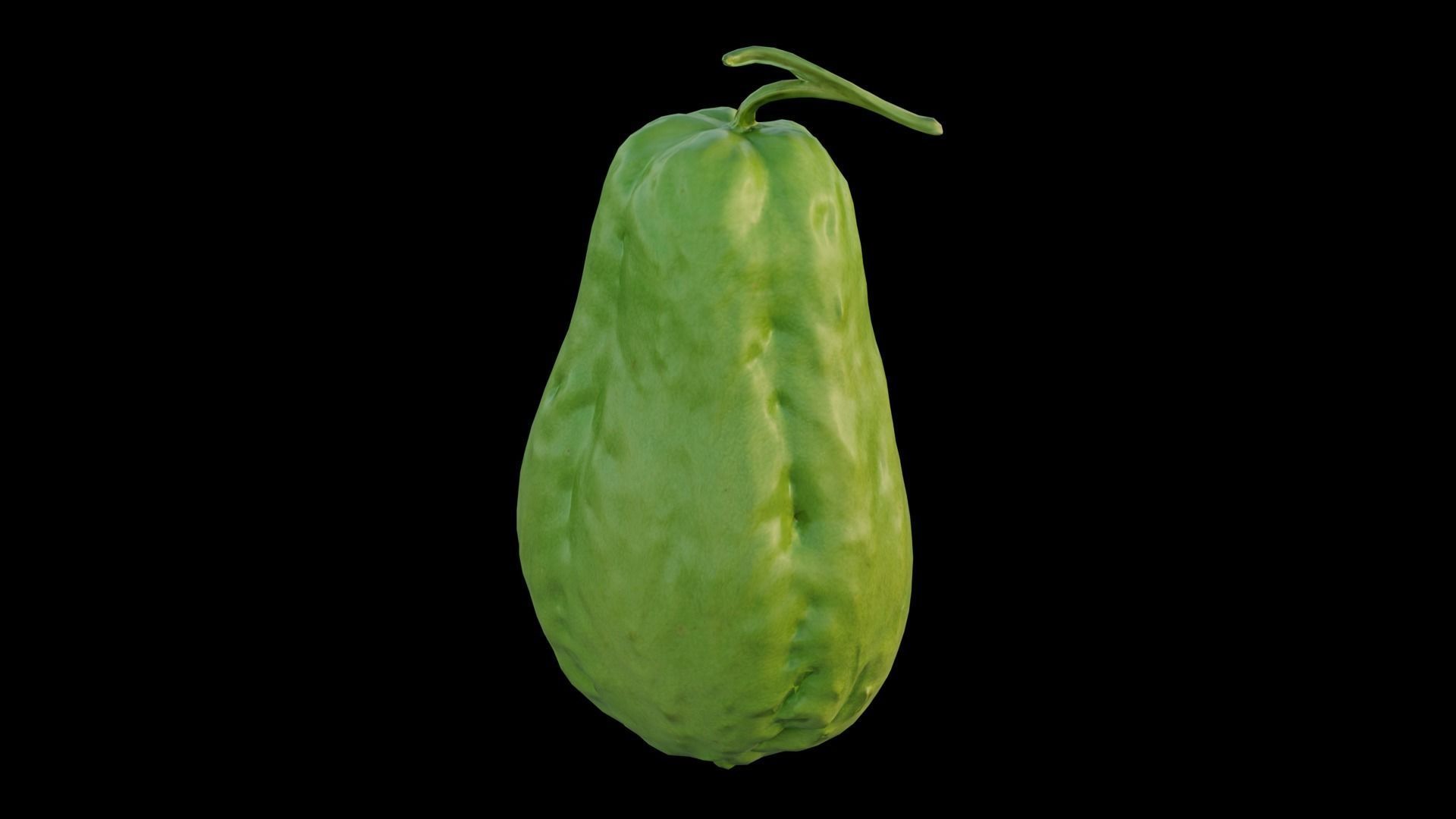 Chayote 05 3D model_5