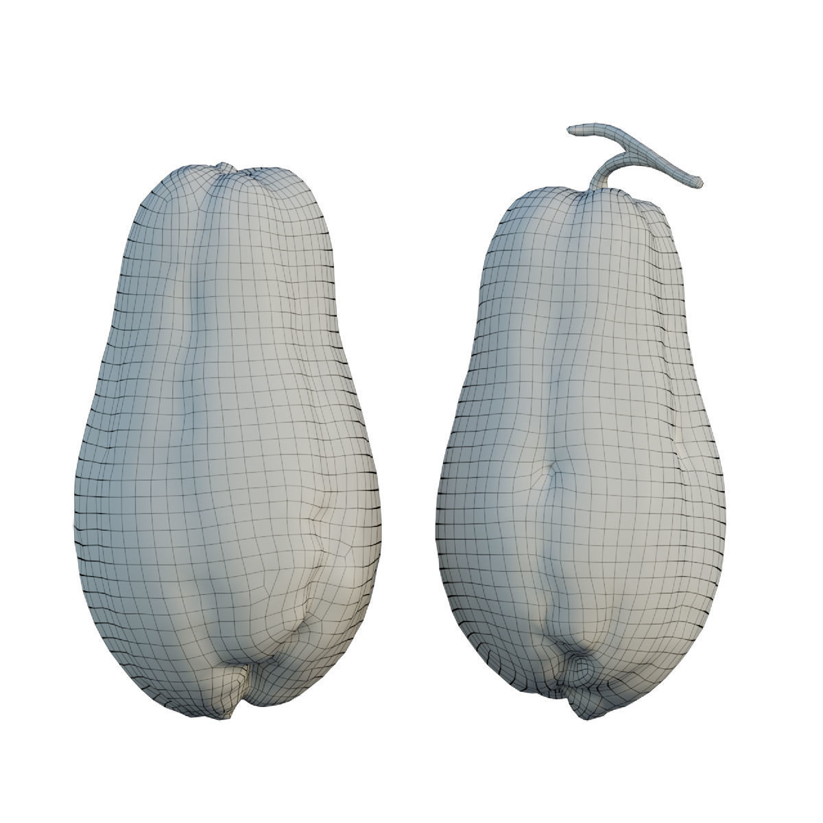 Chayote 05 3D model_1