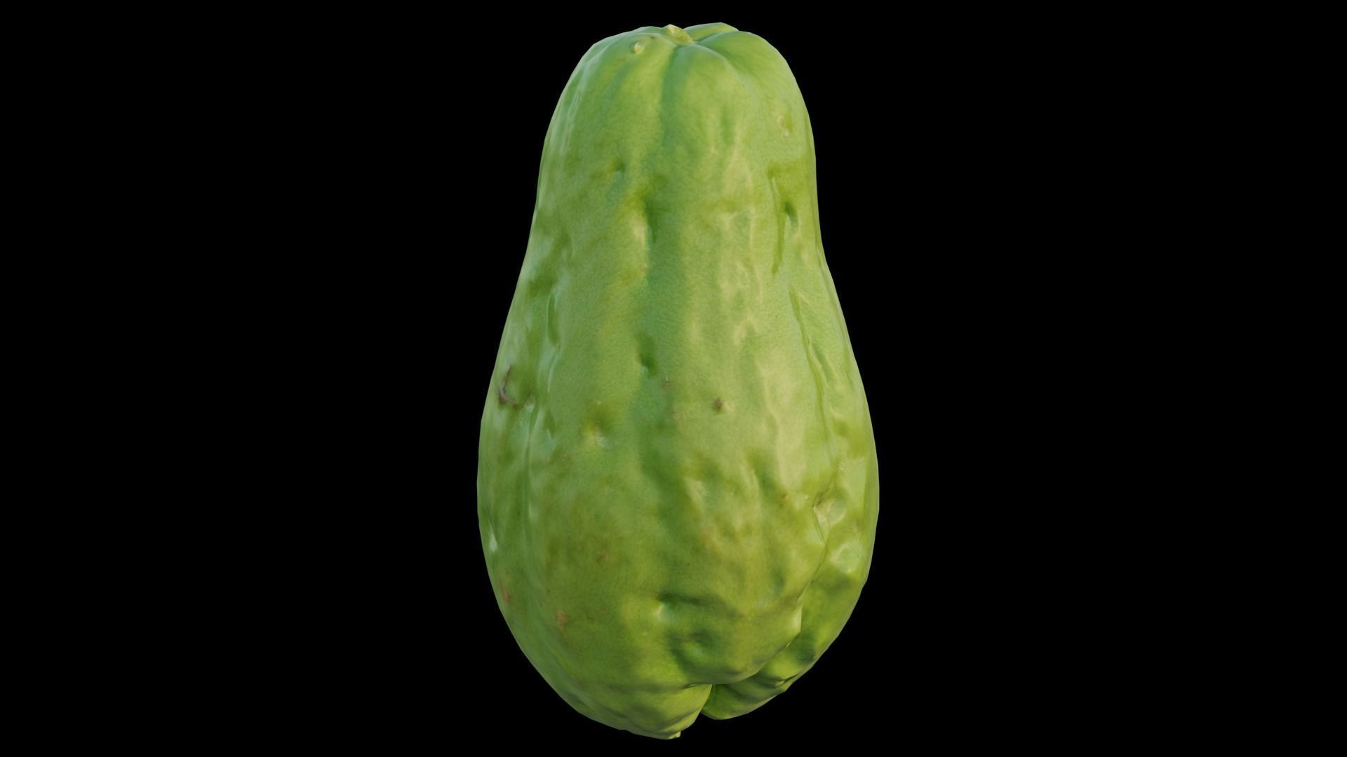 Chayote 05 3D model_4