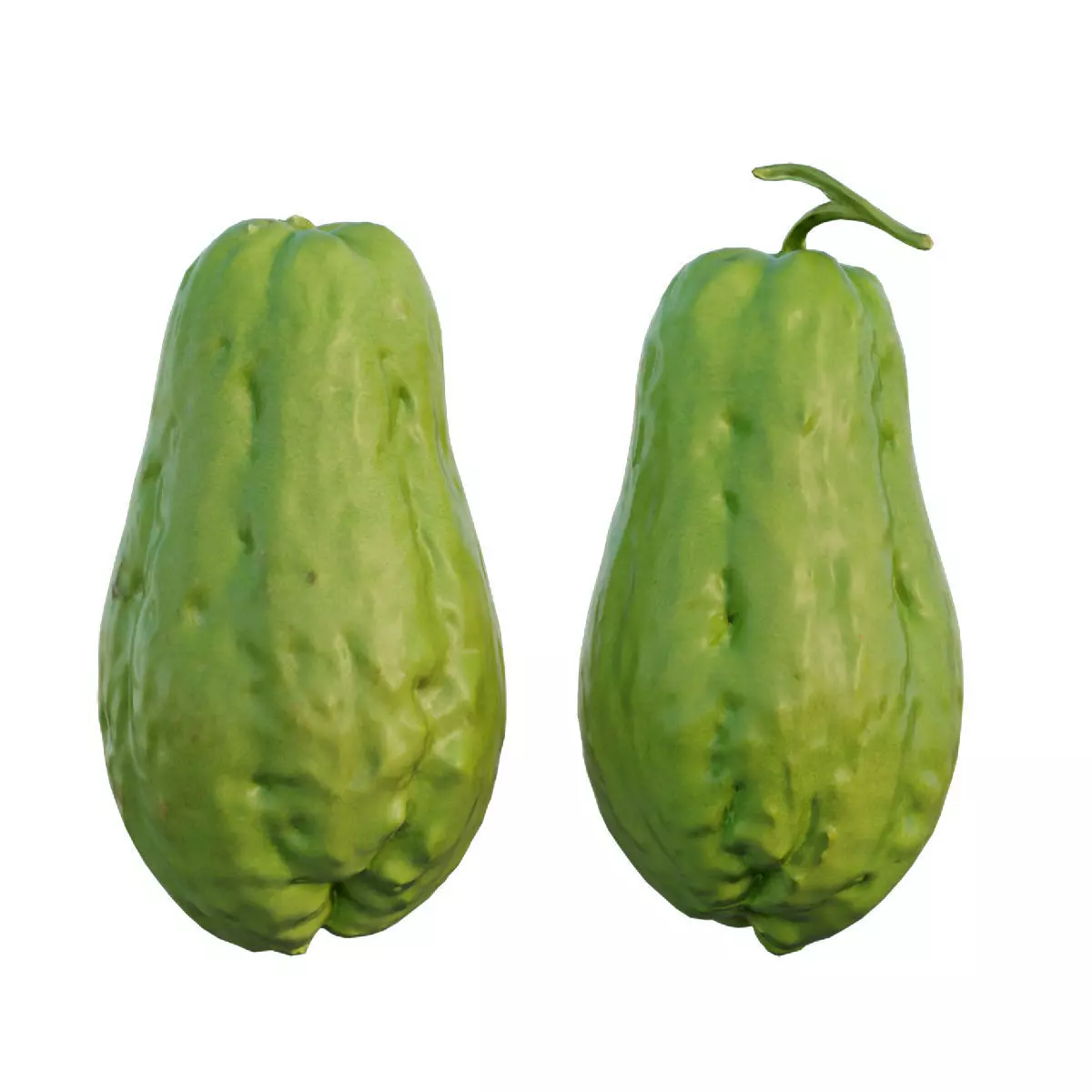 Chayote 05 3D model_0