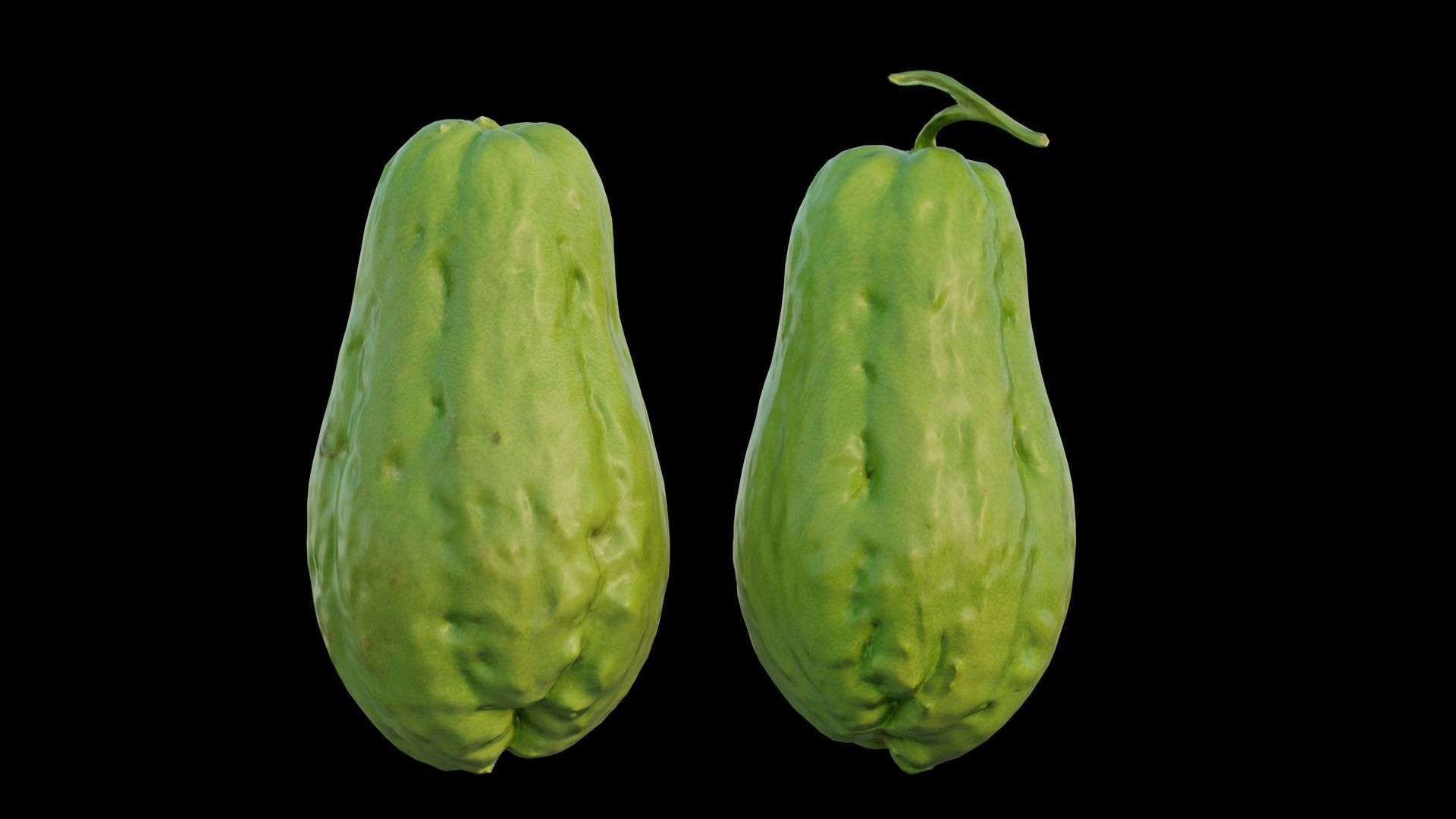 Chayote 05 3D model_2
