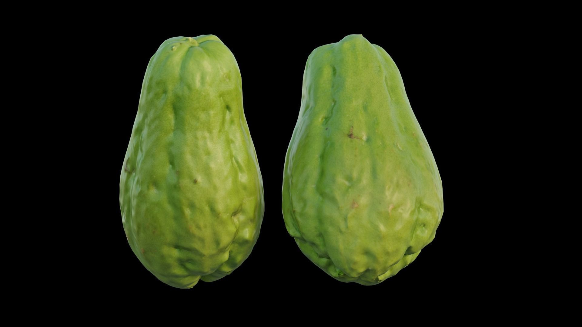 Chayote 05 3D model_6