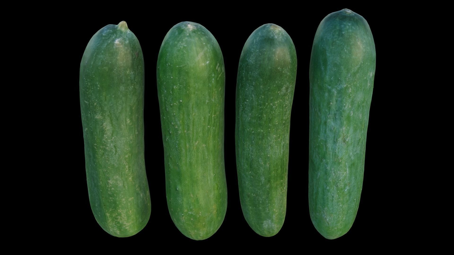 baby cucumber 3D model_7