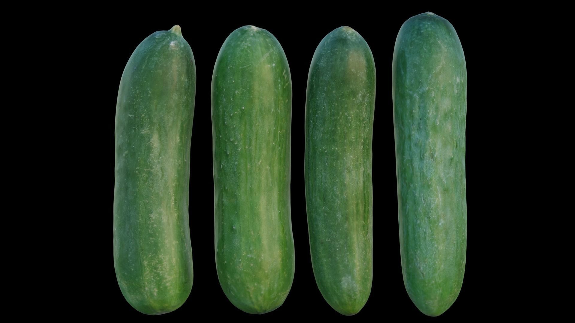 baby cucumber 3D model_2