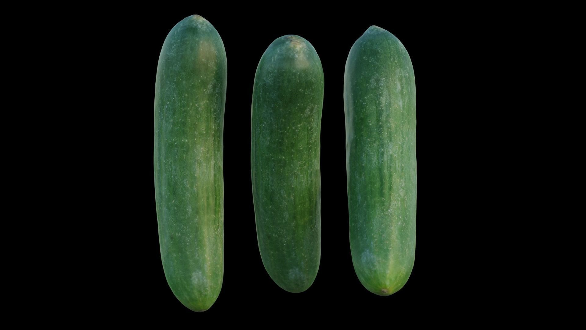 baby cucumber 3D model_4