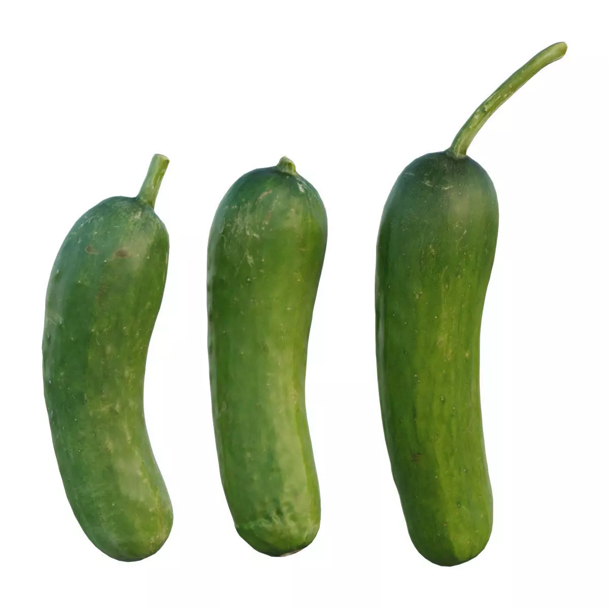 baby cucumber 03 3D model_0