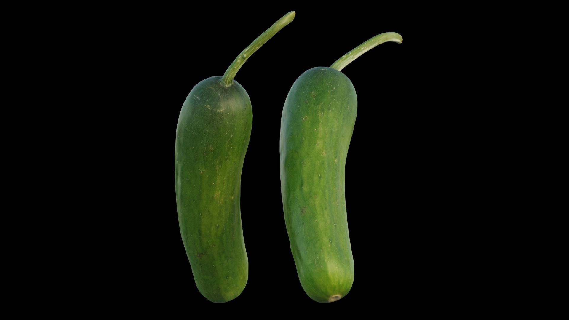 baby cucumber 03 3D model_4