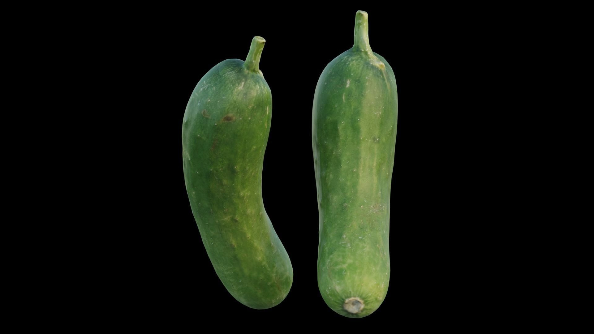 baby cucumber 03 3D model_3