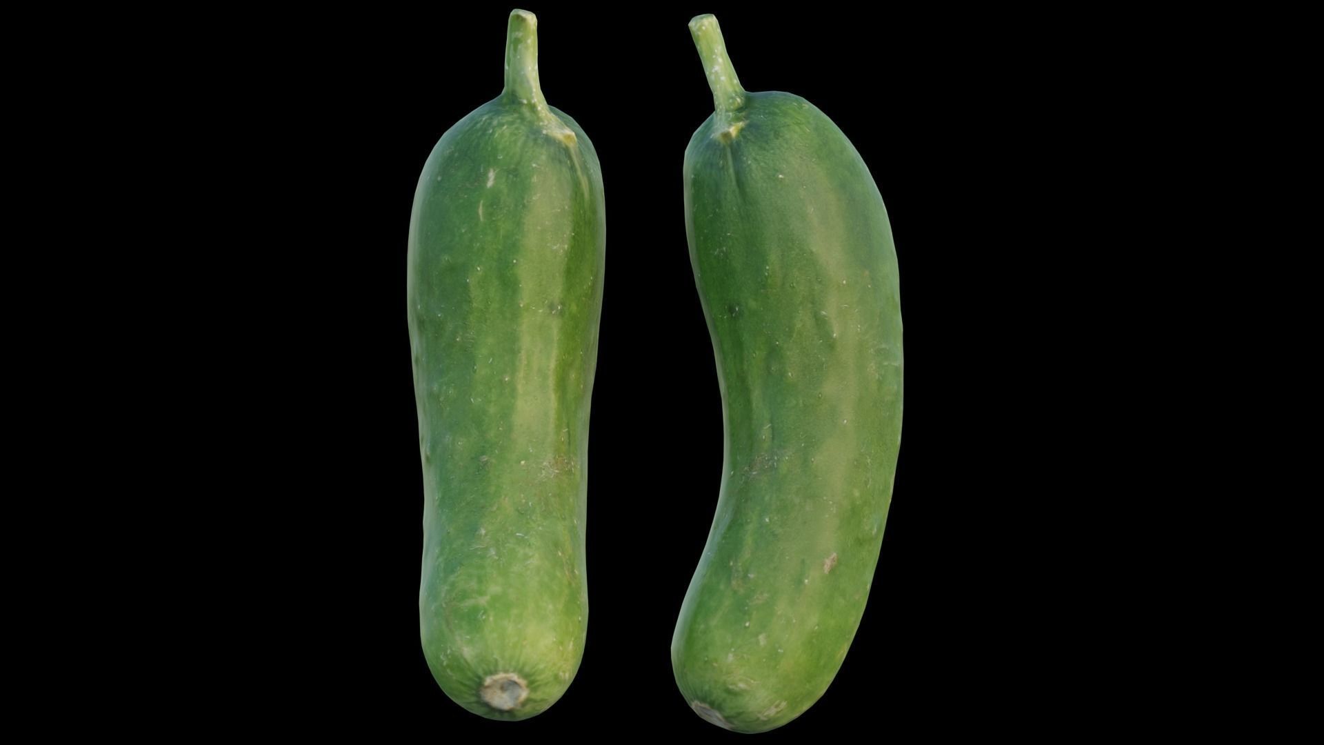 baby cucumber 03 3D model_5