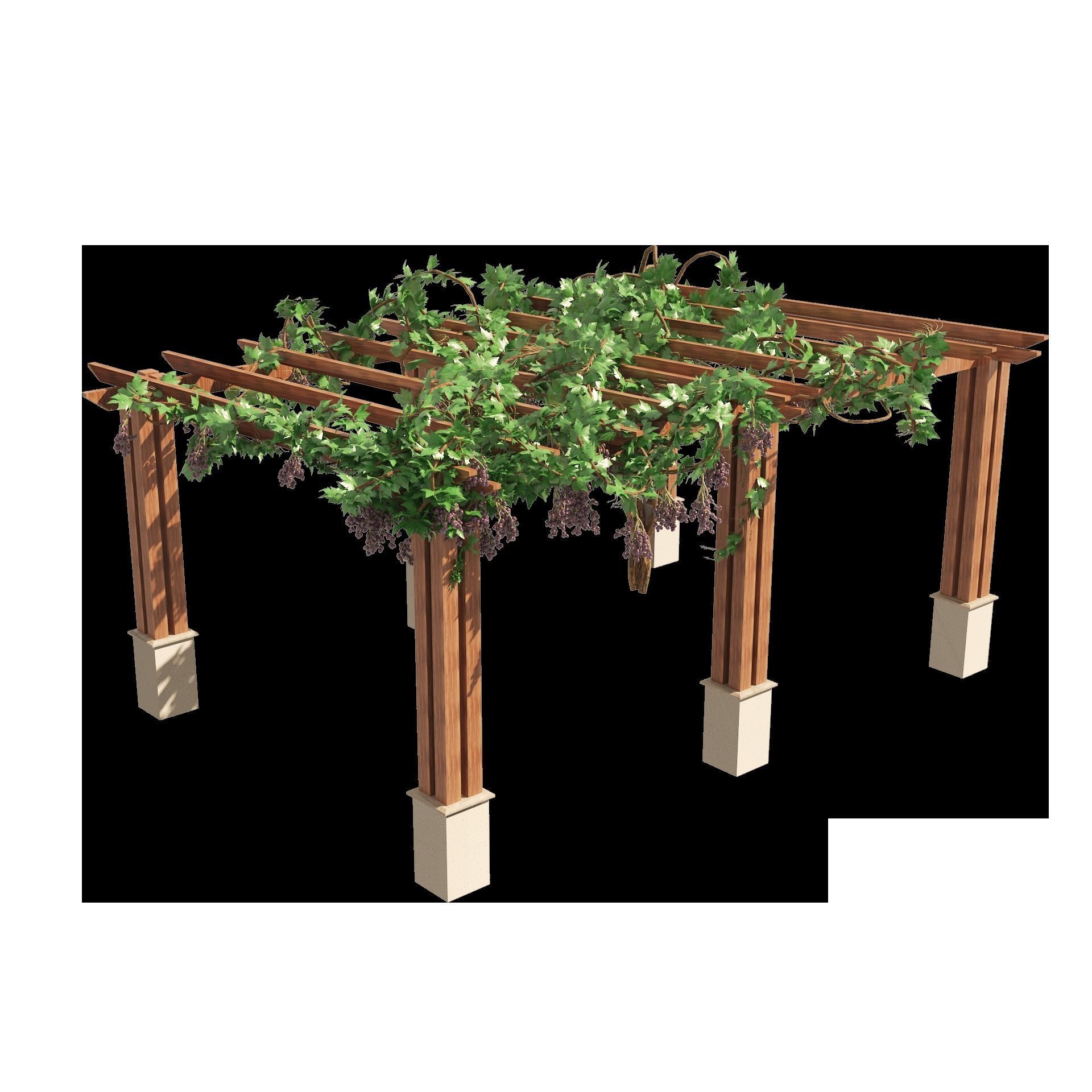 2 Grape Vine Pergola 3D model_9