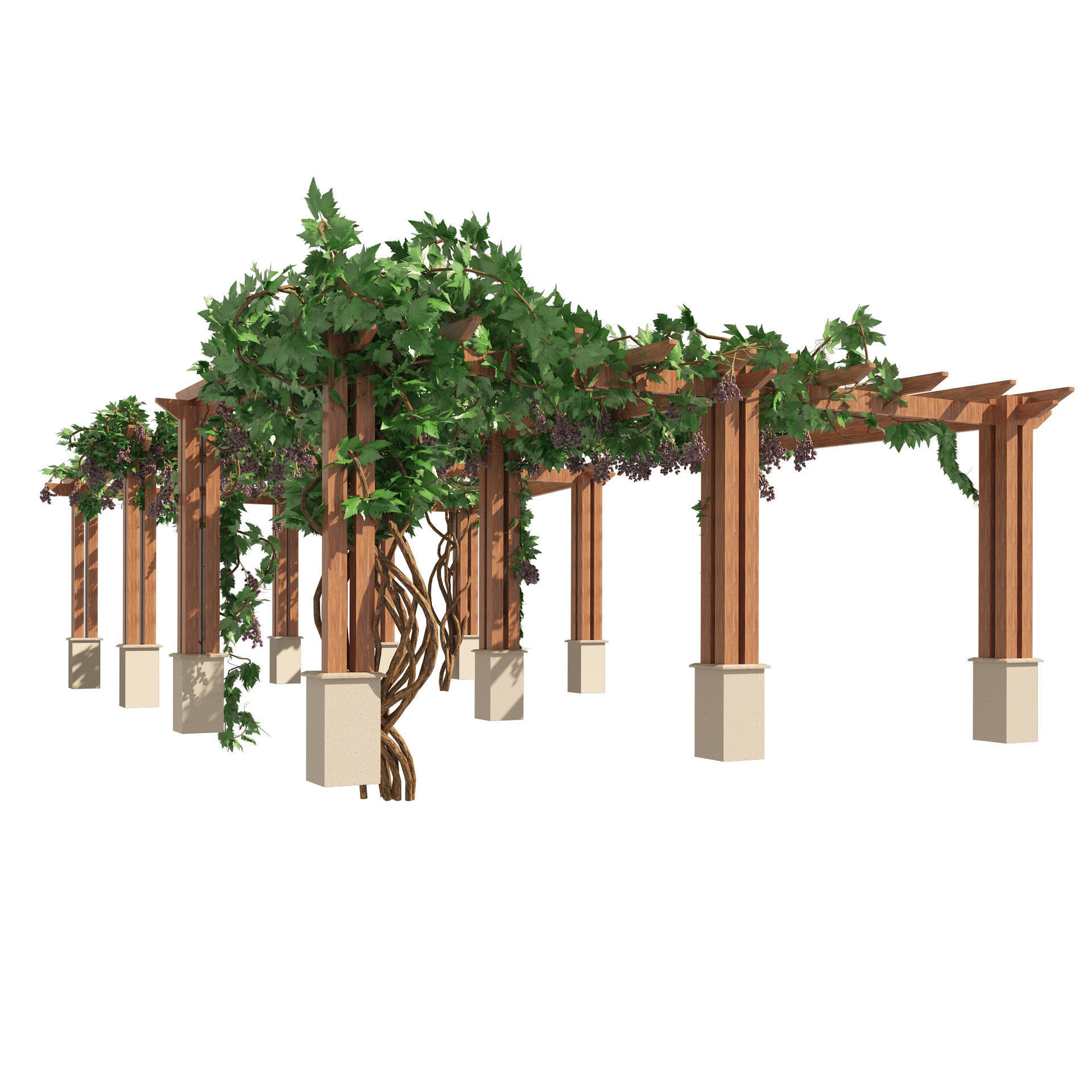 2 Grape Vine Pergola 3D model_7