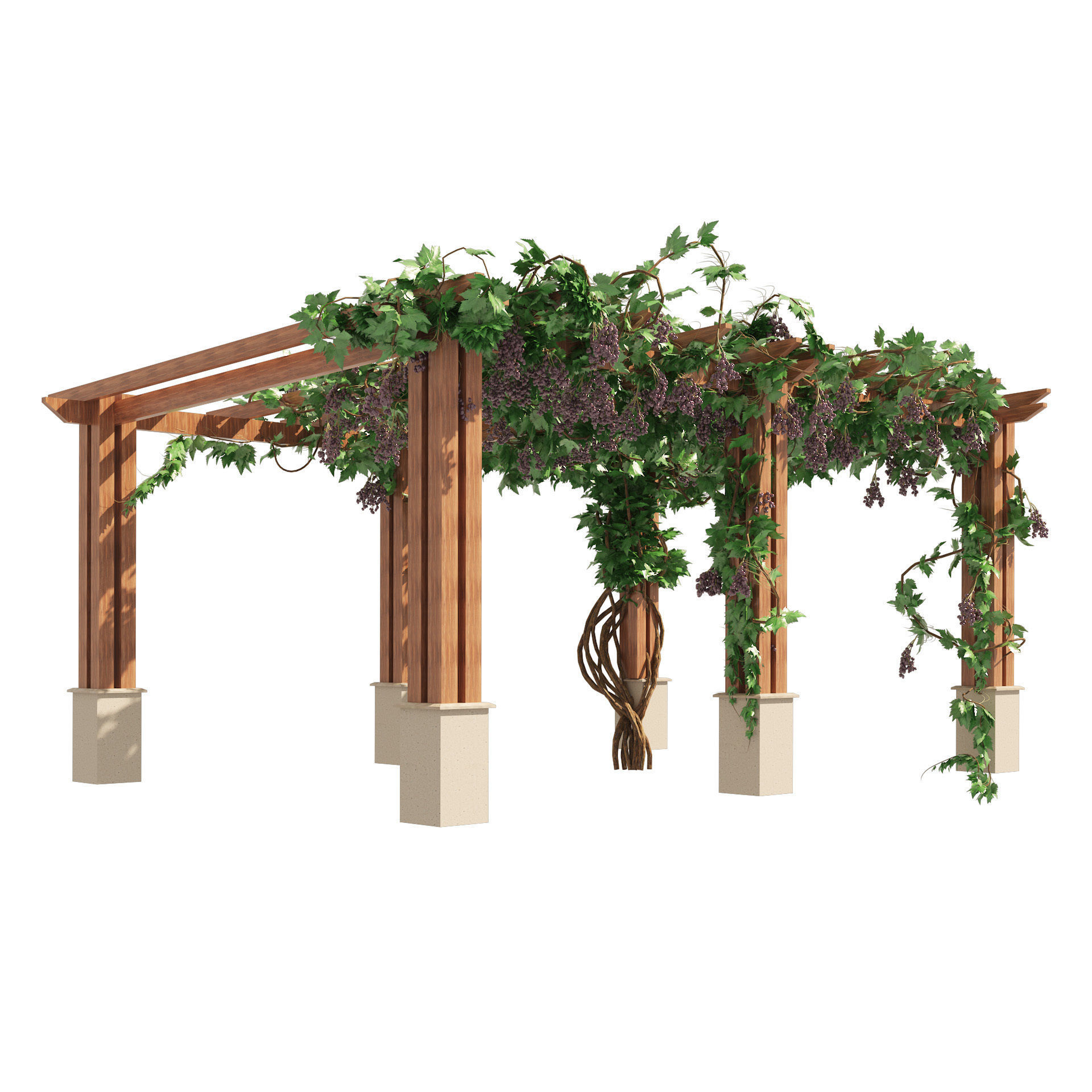 2 Grape Vine Pergola 3D model_4