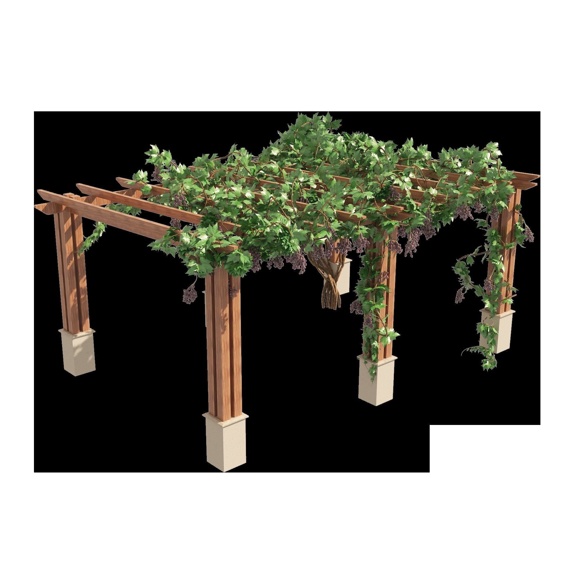 2 Grape Vine Pergola 3D model_13